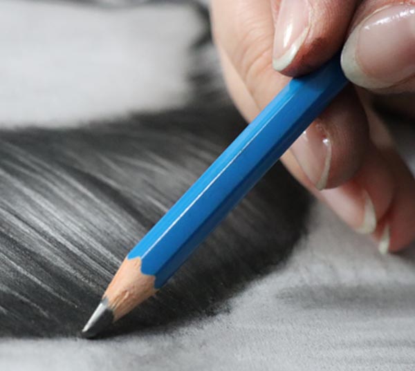 Drawing course