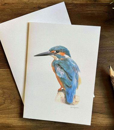 Kingfisher Notecard
