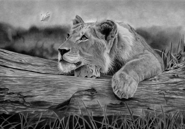 Realistic Drawing Pencil Free Tutorials Online Course